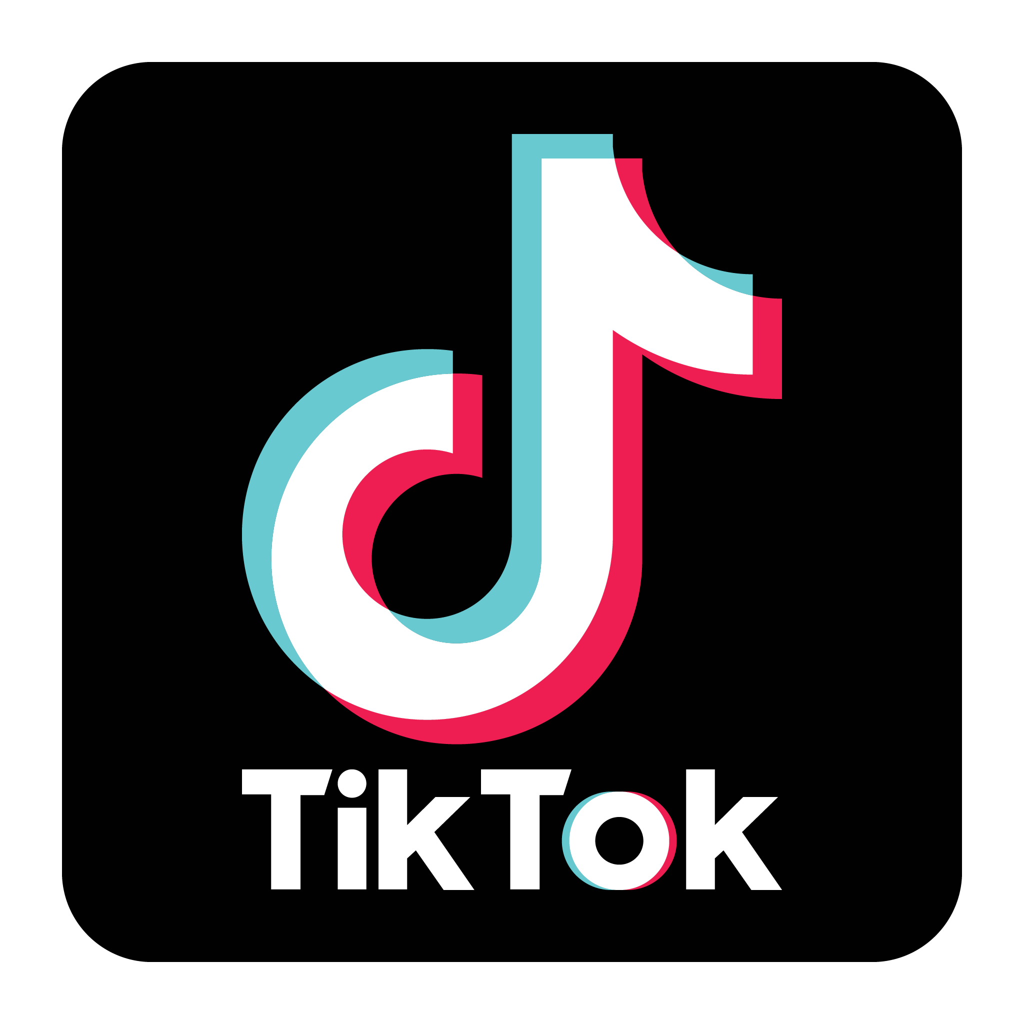 logo-tiktok-icone-2048